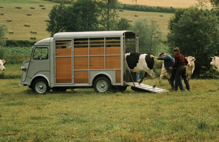 Citroën Typ H (1947–1981).