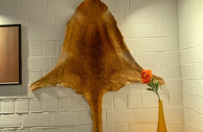 lederzentrum_colourlock_classic-portal_038