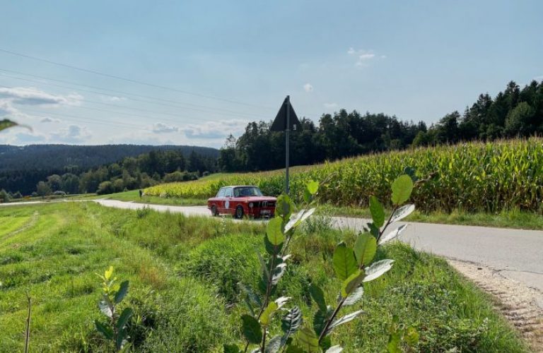 lord-george-rallyes_classic-portal_247