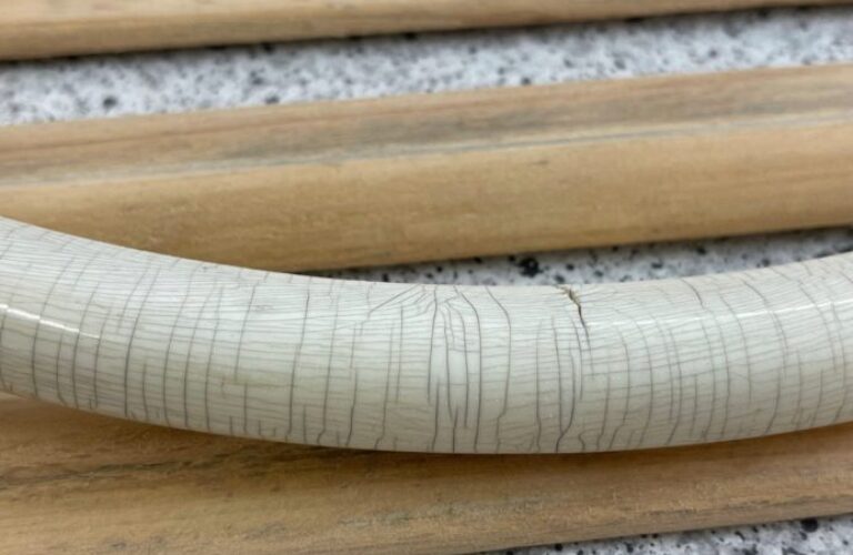 mk-holztechnik-oldtimer-holz-restauration_classic-portal_607