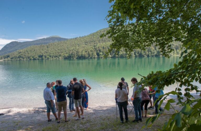 mmsd-9-seen-2020_145