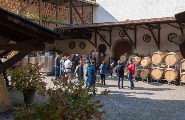 plantitscherhof-oldtimer-hotel-meran-suedtirol_classic-portal_290