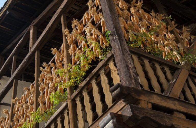 plantitscherhof-oldtimer-hotel-meran-suedtirol_classic-portal_291