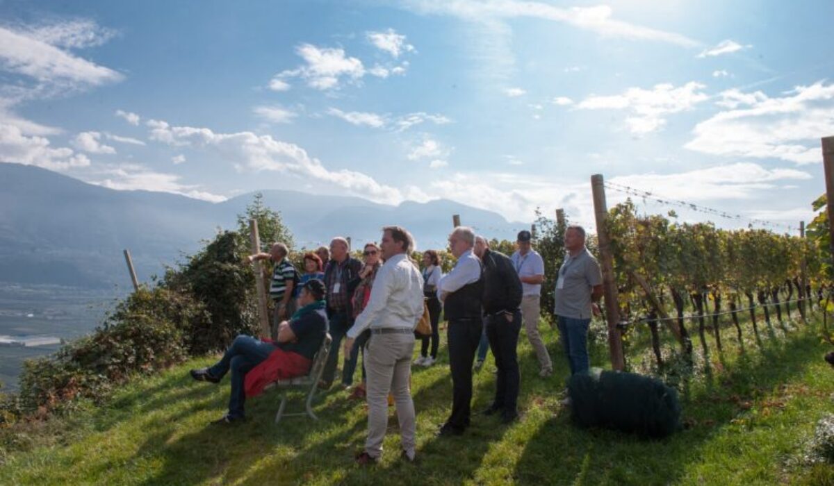 plantitscherhof-oldtimer-hotel-meran-suedtirol_classic-portal_298