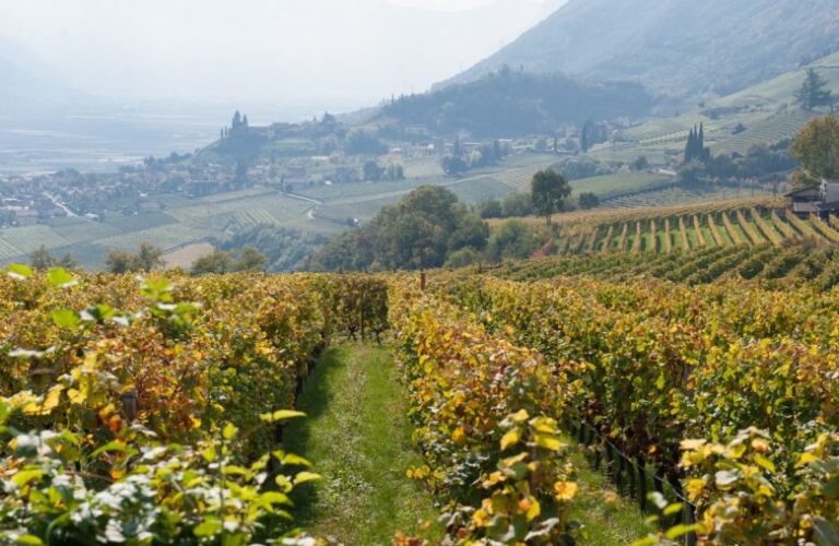 plantitscherhof-oldtimer-hotel-meran-suedtirol_classic-portal_302