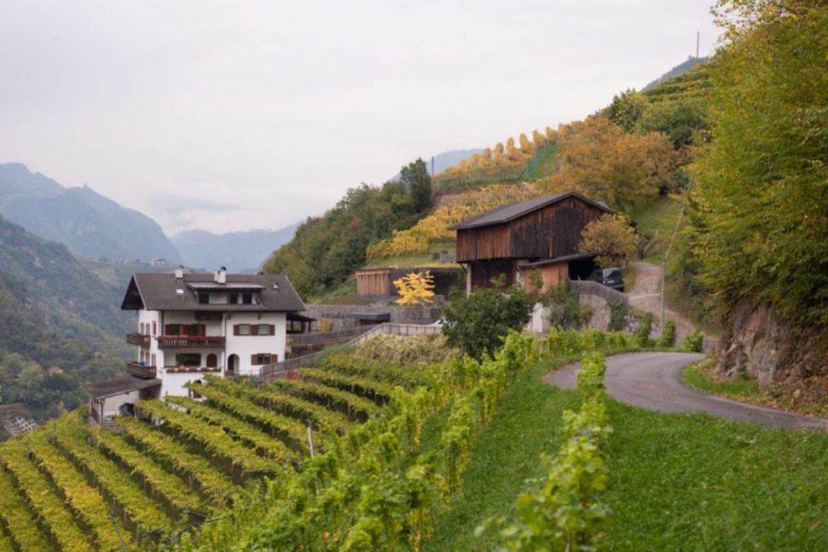 plantitscherhof-oldtimer-hotel-meran-suedtirol_classic-portal_410