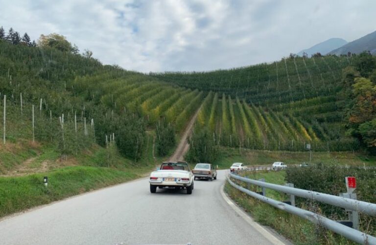 plantitscherhof-oldtimer-hotel-meran-suedtirol_classic-portal_625